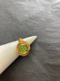 Spring Ring