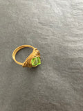 Spring Ring